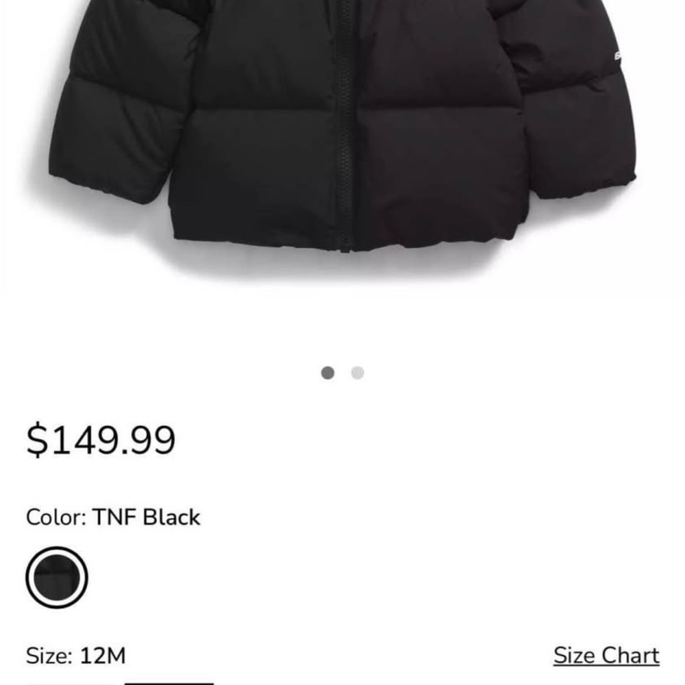 The North Face Kids Black Puffer Jacket